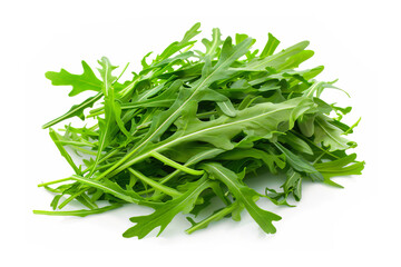 arugula , isolated on a white background