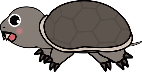 カミツキガメ-可愛い亀のイラスト
