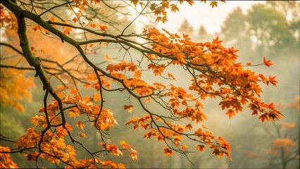 A foggy forest scene featuring orange leaves on a tree branch, embodying the beauty of autumn foliage