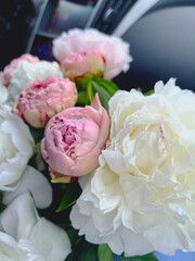 Delicate bouquet of peonies