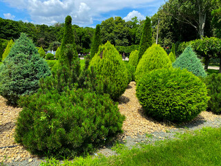 Obraz premium garden in the park
