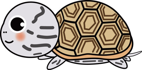 キスイガメ-可愛い亀のイラスト