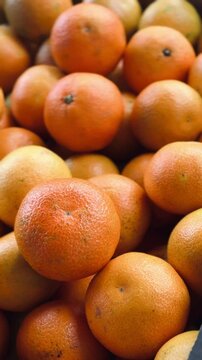 Fresh mandarin oranges fruit harvested.
