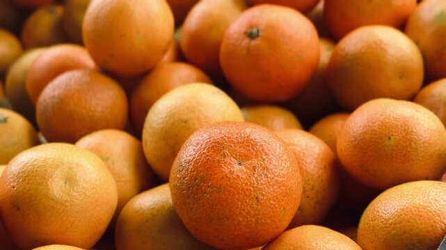 Fresh mandarin oranges fruit harvested.
