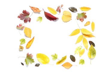 Frame made of different fallen leaves on white background