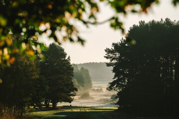 morning fog on golf filed