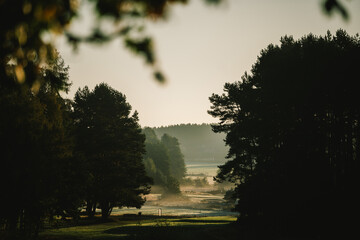 morning fog on golf filed