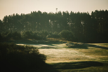 morning fog on golf filed