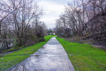 Wet paved path in park during early spring surrounded by bare trees and fresh greenery. New Jersey. USA.