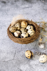 Fresh quail eggs. Rustic style 