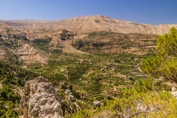 View of Qadisha valley, Lebanon