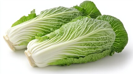 Chinese cabbage in studio lighting, sharp details on each leafy layer, isolated on a pure white background