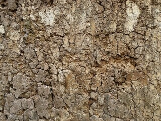texture of broken soil on the cliff