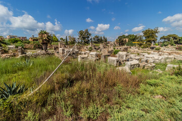 Obraz premium Roman necropolis at Al Bass archaeological site in Tyre, Lebanon