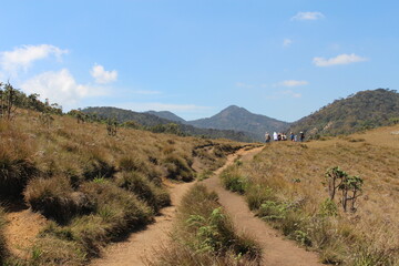path through the plains