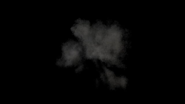Video of a fiery explosion in mid-air, alpha channel for transparent background, three speeds including slow motion so you can adjust the speed, 30p 