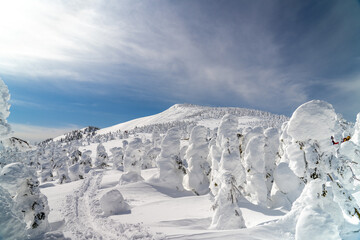 厳冬期 西吾妻山のスノーモンスター