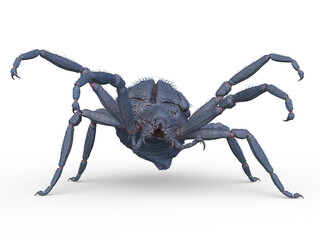 蜘蛛　3DCGレンダリング