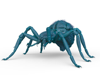 蜘蛛　3DCGレンダリング