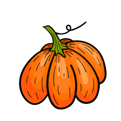 Hand drawn pumpkin in bright colors on white background. Autumn illustration.