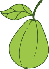 Guava leaves color illustration vector