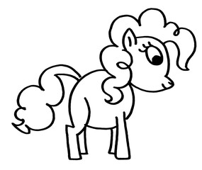 Little horse pony on the white background 