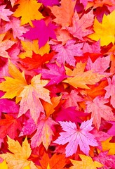 Fototapeta premium Autumn leaves lying on the floor