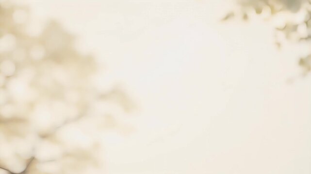 Observe enchanting interplay morning sunlight tree shadows gently blowing white textured background perfect product presentations mockups captured abstract 4K stock video that evokes sense calm