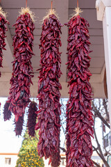 A bunch of drying peppers