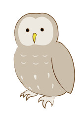 フクロウのイラスト