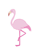 フラミンゴのイラスト