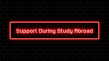 Support During Study Abroad のネオン文字