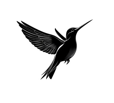 recommend clip art: black hummingbird silhouette on a white background