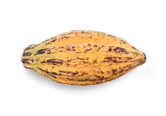 fresh cocoa isolate on white background