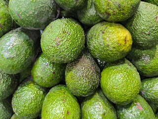 Green avocados close-up ripening. Brown spots appear on some fruits