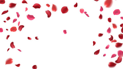 Rose petals or sakura flying petals, romantic background with realistic pink cherry flower petals flow or falling motion. Love, romance, floral spring season
