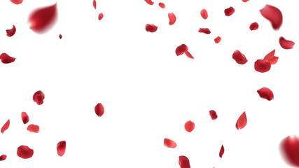 Rose petals or sakura flying petals, romantic background with realistic pink cherry flower petals flow or falling motion. Love, romance, floral spring season