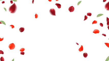 Rose petals or sakura flying petals, romantic background with realistic pink cherry flower petals flow or falling motion. Love, romance, floral spring season