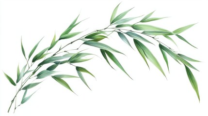 Naklejka premium Curved bamboo stalk with soft, drooping green leaves, isolated on white background