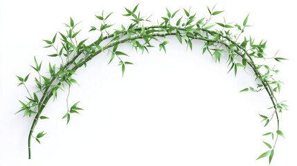Naklejka premium Curved green bamboo stalk with leaves branching out, isolated on white background