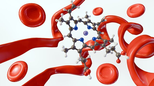 3d rendering of heme molecule, protein structure and red blood cells in the white background.