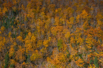 Beautiful Cape Breton Island and National Park in Nova Scotia, Canada