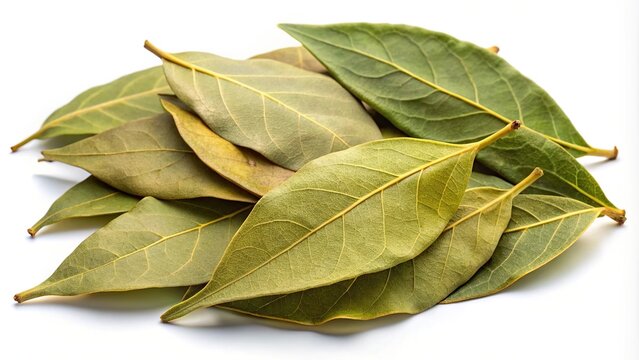 Dried bay leaves isolated on white background with clipping path