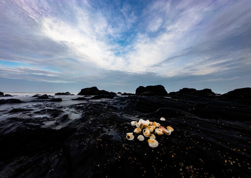 Dramatic wide-angle landscape of a rugged, rocky shore, possibly along the Desaru Coast, featuring dark igneous rocks and a cluster of acorn barnacles (Cirripedia) under a sweeping, cloudy sky.