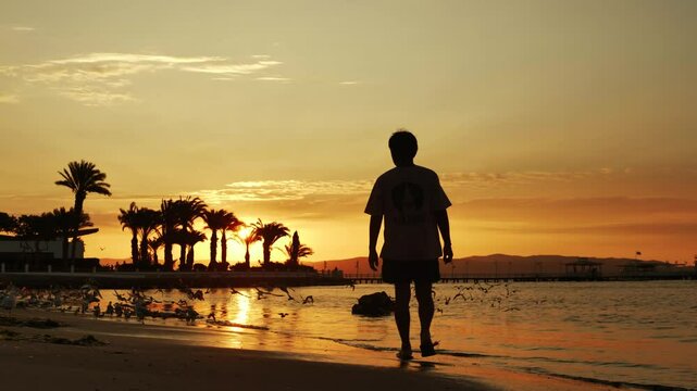 Walking while seagulls fly at sunset