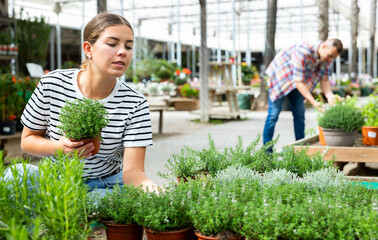 In flower center, girl choose thymus plant to decorate room, balcony, terrace. Garden retail...