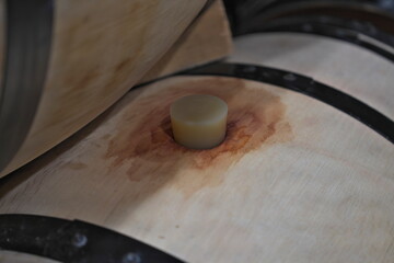 Bordeaux,France - October 4, 2024: Bung or dowel on a French Oak barrel in wine aging process