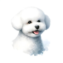 흰 배경, 비숑 프리제, 수채화 (white background, Bichon fris&eacute;, water colour)