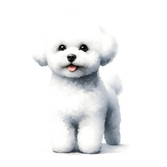 Obraz premium 흰 배경, 비숑 프리제, 수채화 (white background, Bichon frisé, water colour)