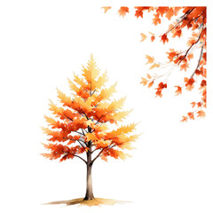 Vibrant autumn tree and leaves on a black background symbolizing nature's seasonal beauty in all its glory